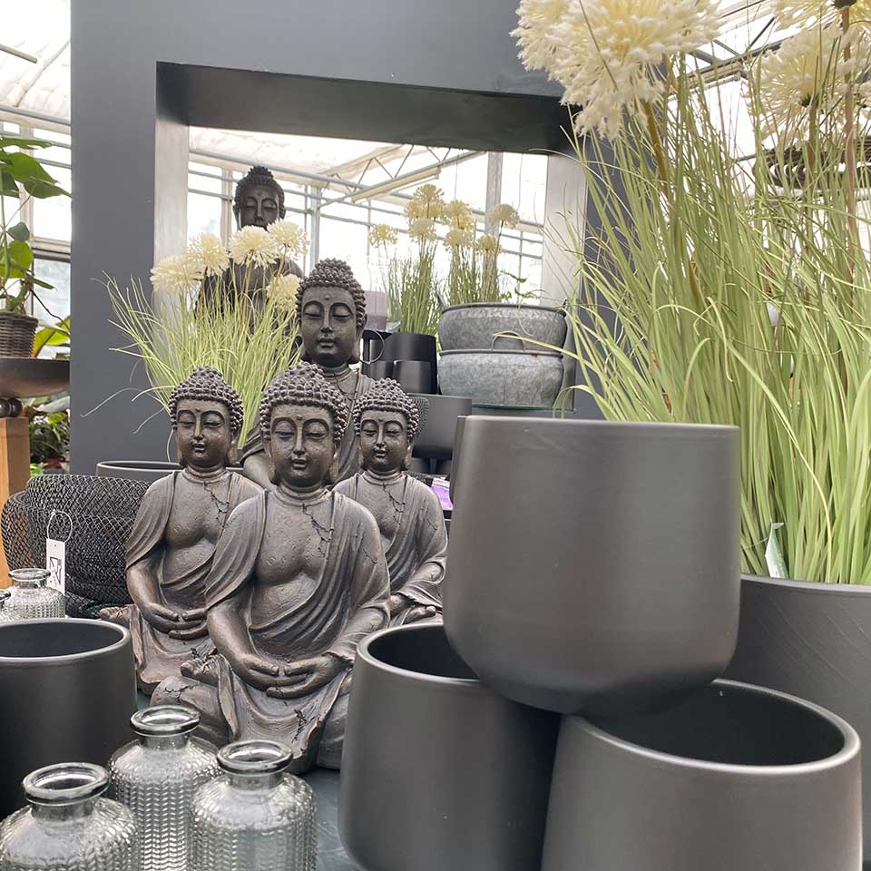 Blumenhaus Schlieker Lügde, Bild mit Wohnaccessoires und Dekoartikeln