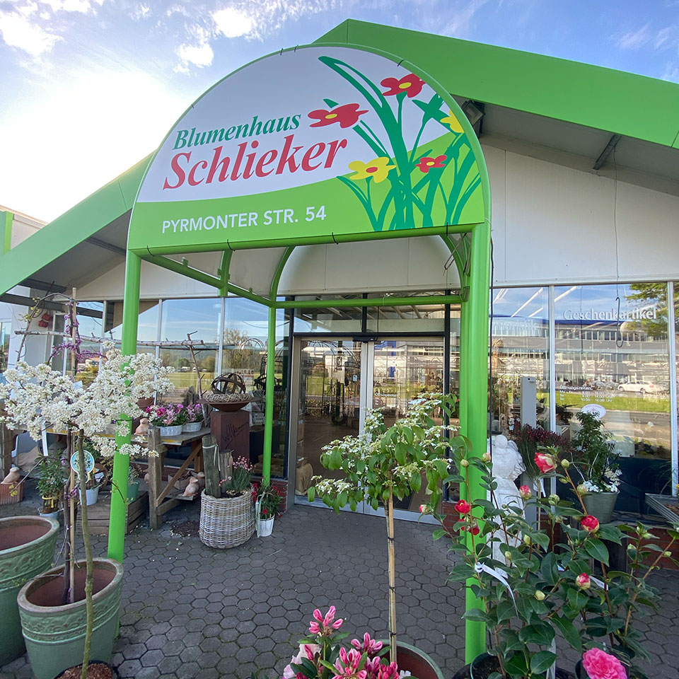 Blumenhaus Schlieker, Bild Gärtnerei Lügde Baumschule, Sträucher, Bodendecker, Kletterpflanzen
