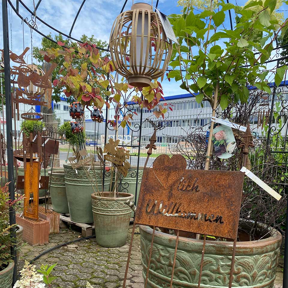 JBlumenhaus Schlieker, Bild Gärtnerei Lügde Baumschule, Sträucher, Bodendecker, Kletterpflanzen